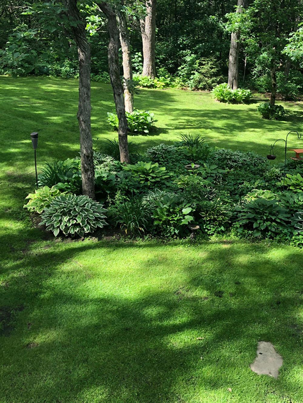 MicroLawn Slow & Low Mix